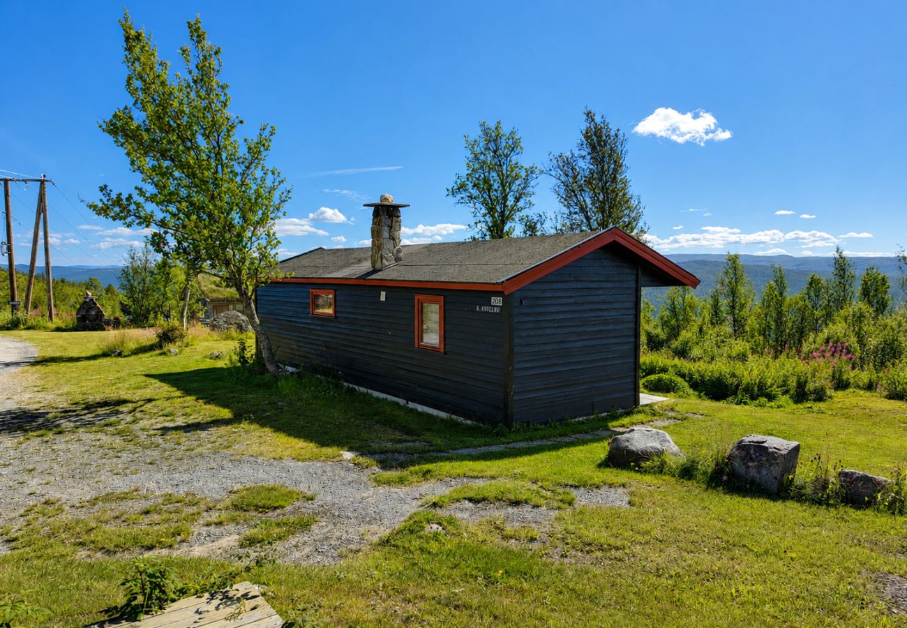 Hytte i Hol - Hvilebu - Sjarmerende og tradisjonell hytte på Kikut, Geilo