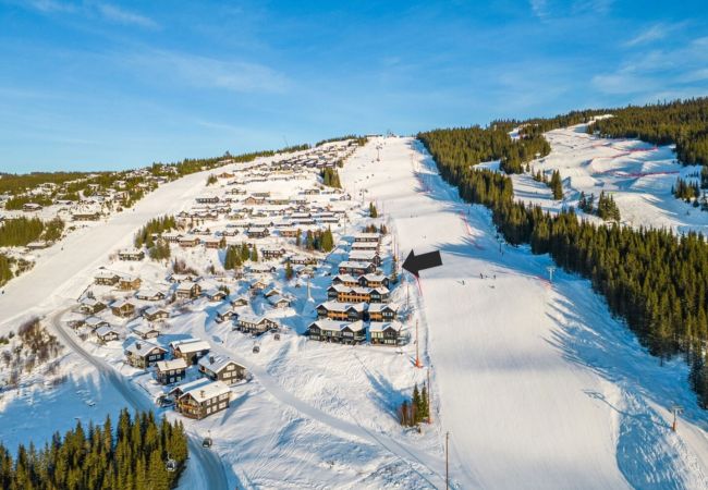 Leilighet i Gudbrandsdalen - Slopeside Hafjell Apartment