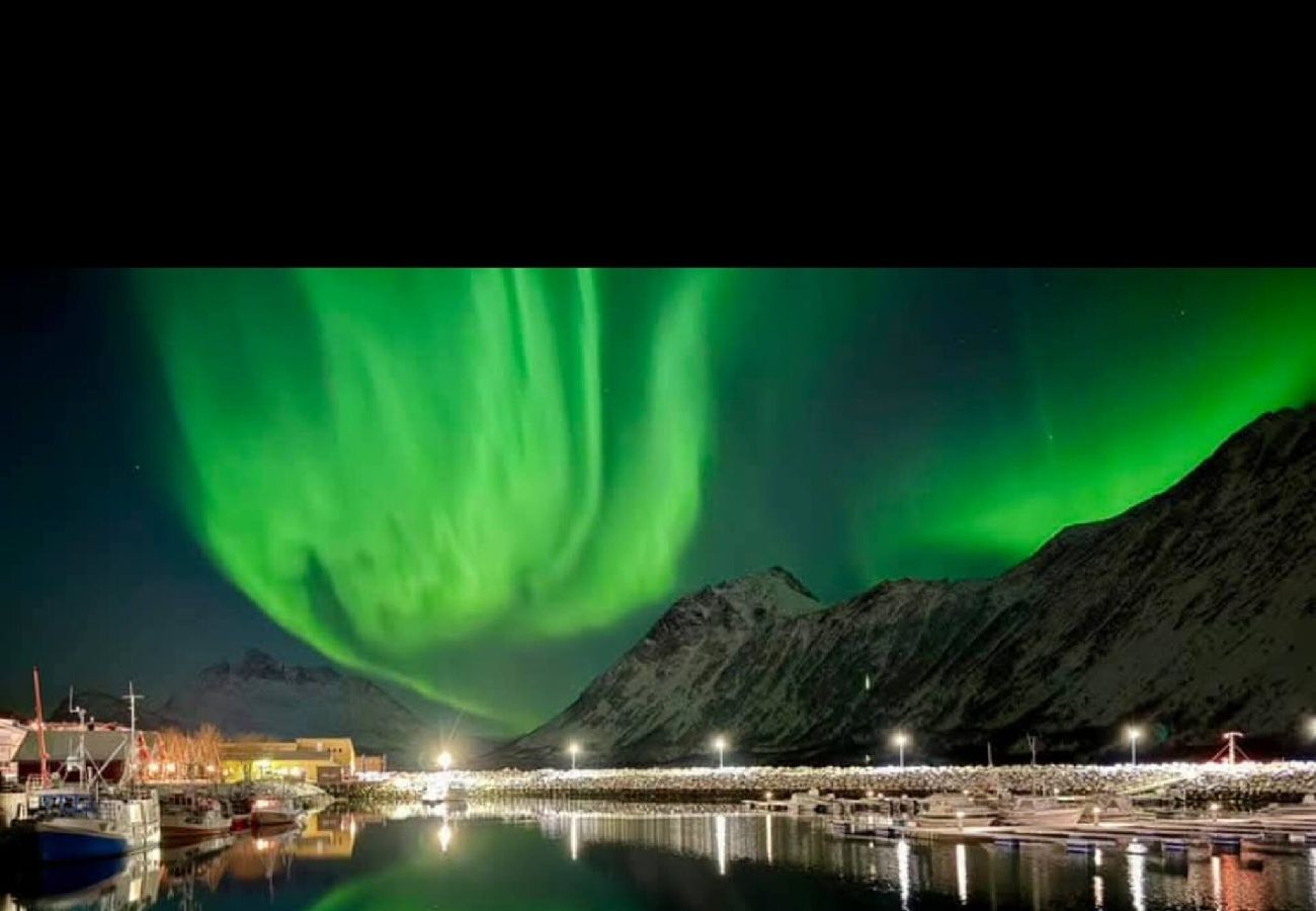 Hytte i Hadsel - Hytte ved Faksholmen i Eidsfjorden 