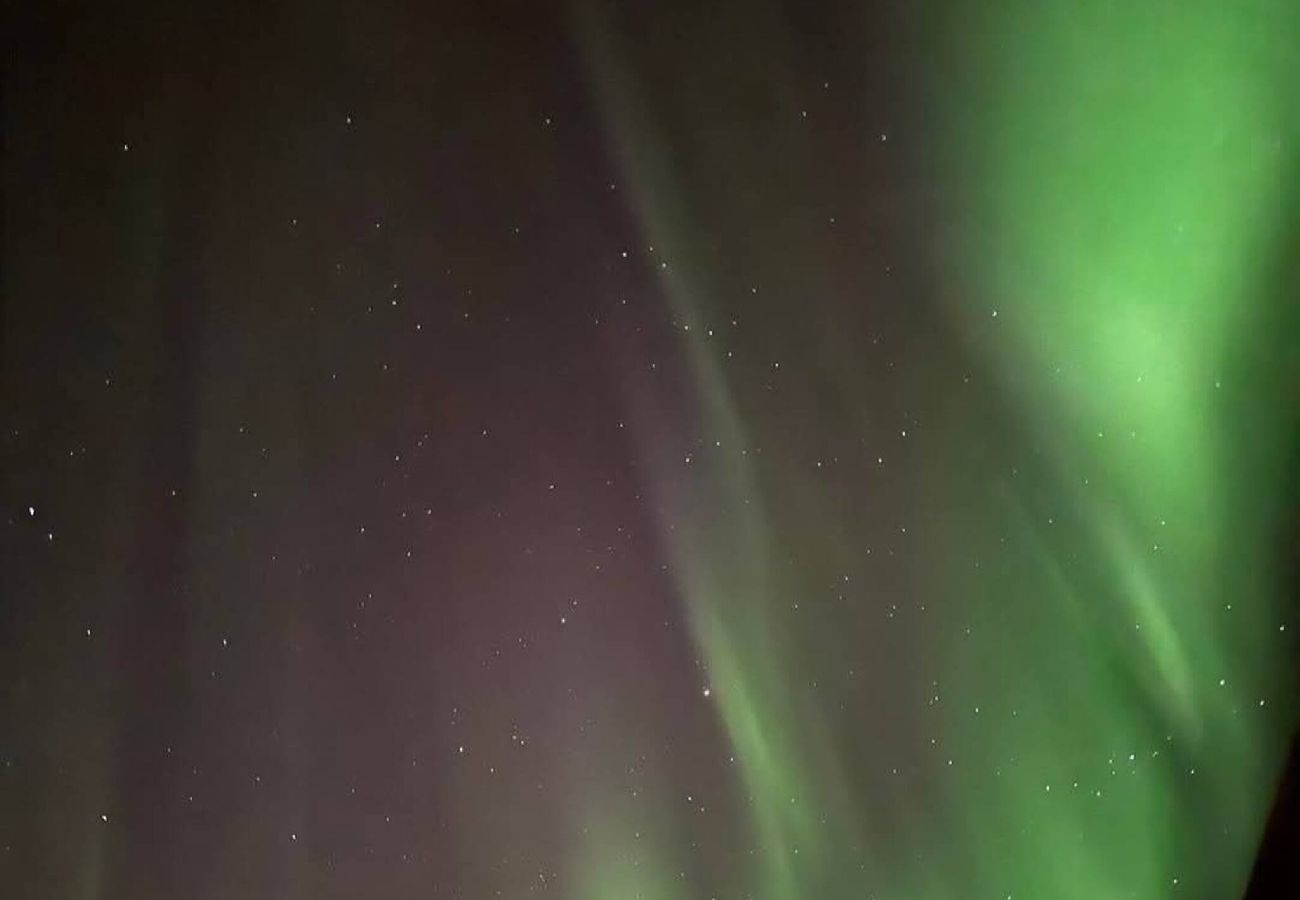 Hytte i Hadsel - Hytte ved Faksholmen i Eidsfjorden 
