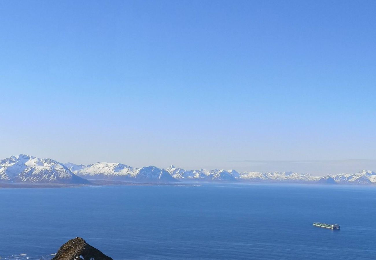 Hytte i Hadsel - Hytte ved Faksholmen i Eidsfjorden 