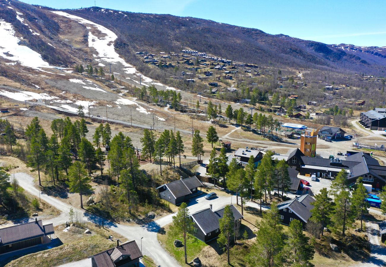 Hytte i Hol - Stor og familievennlig ski-in/ski-out-hytte på Geilo