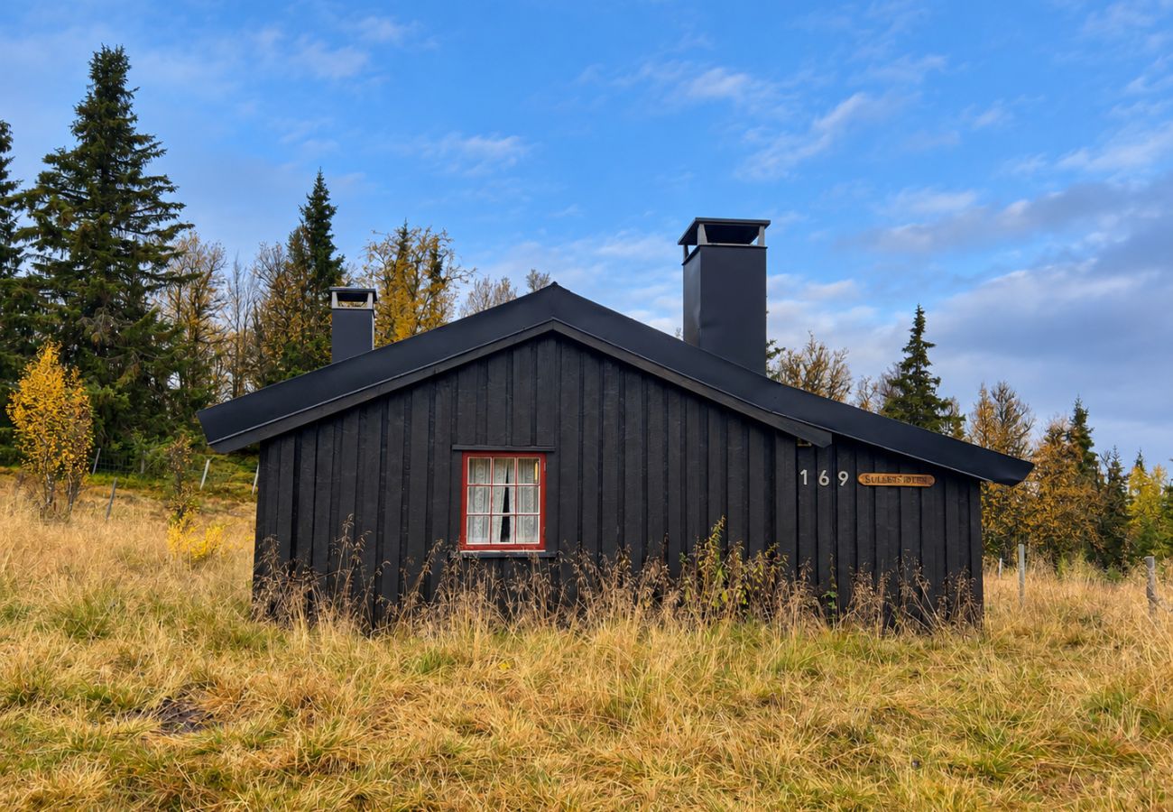 Hytte i Gol - Ekte og sjramerende hytteliv på Golsfjellet