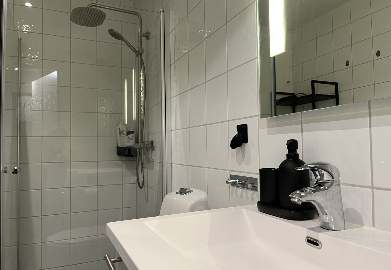 Leilighet i Bergen - Sentral ett roms leilighet i Bergen