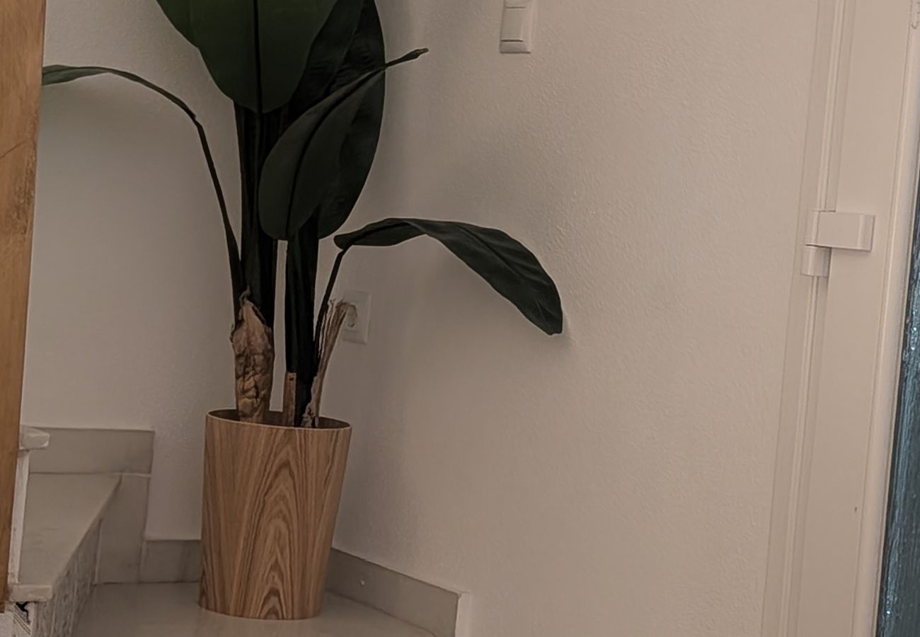 Hus i Torrevieja - Casa Diba - Torrevieja